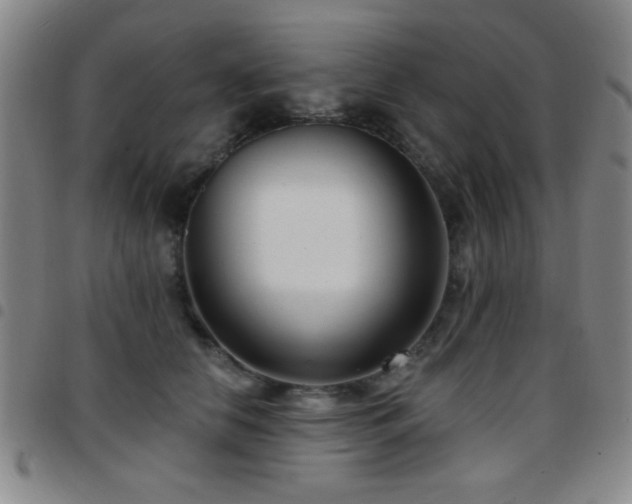 X0000097890658200803141334