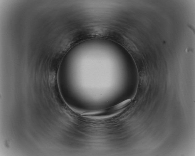 X0000097890660200803141334
