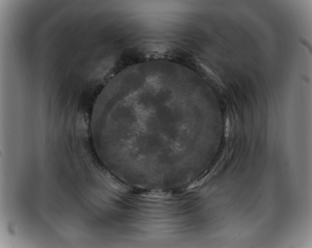X0000097890661200803141334