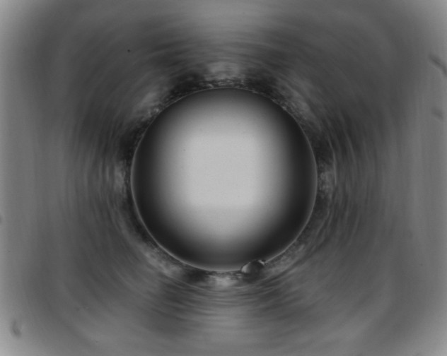 X0000097890662200803141334