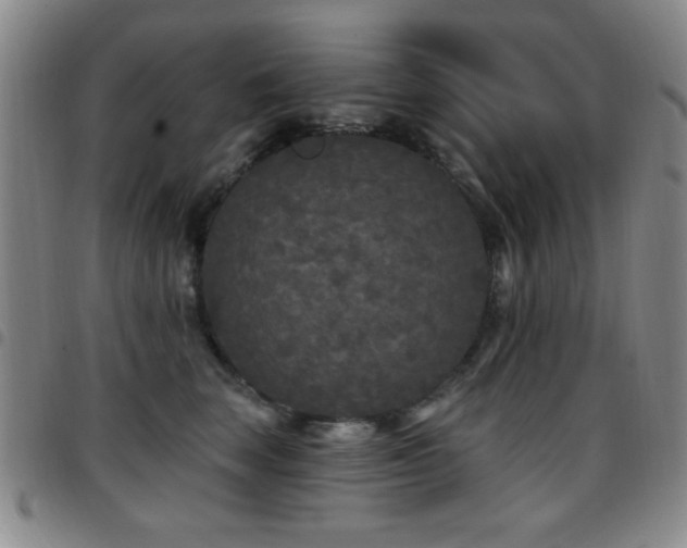 X0000097890663200803141334