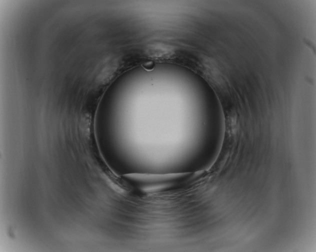 X0000097890664200803141334