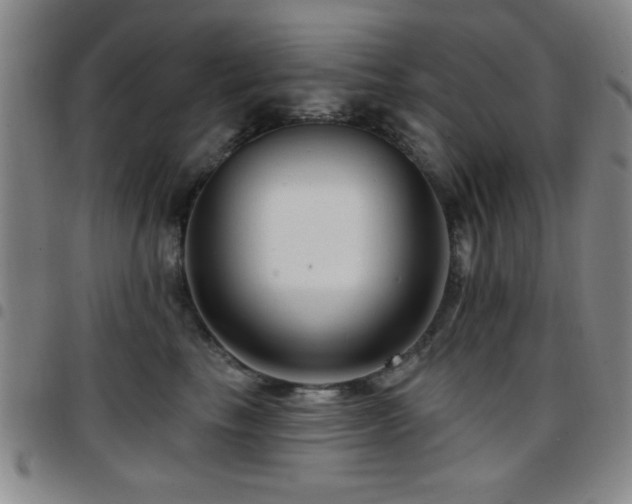 X0000097890665200803141334