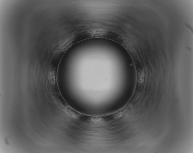 X0000097890666200803141334