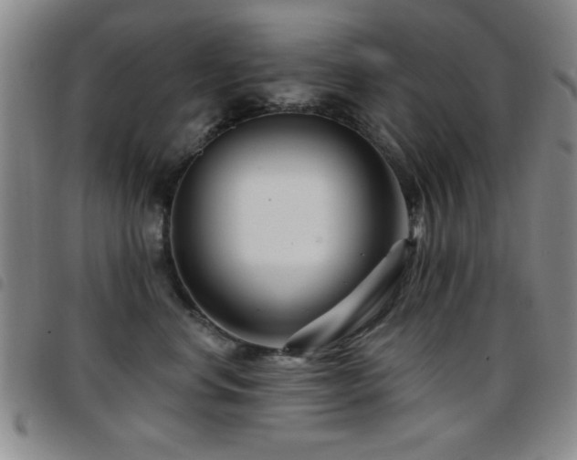 X0000097890668200803141334