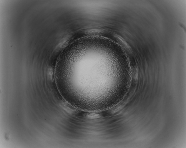 X0000097890669200803141334