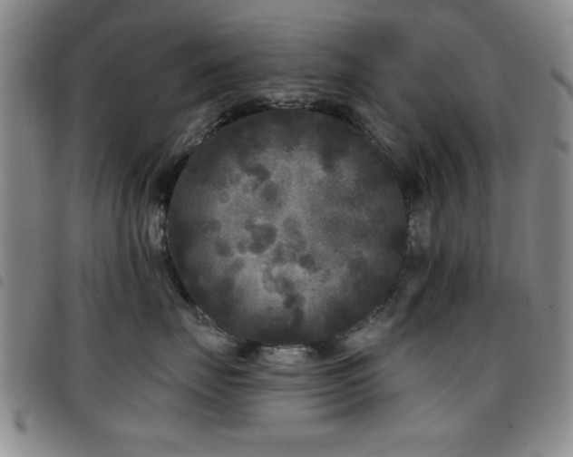 X0000097890671200803141334