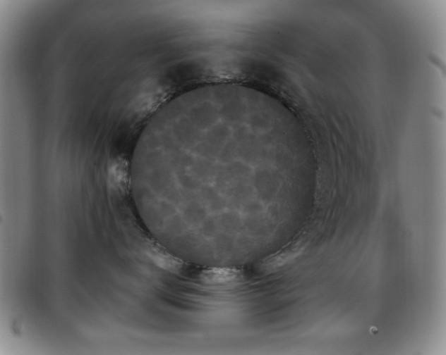 X0000097890672200803141334