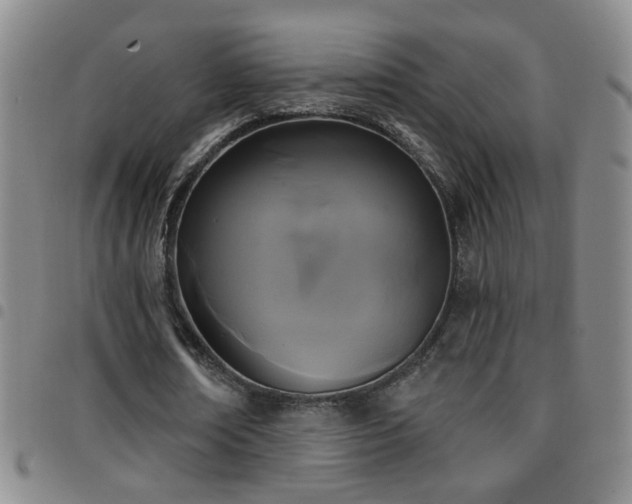 X0000097890674200803141333