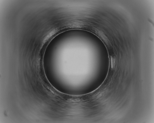 X0000097890675200803141333