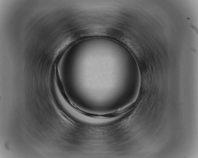 X0000097890677200803141333