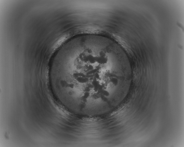 X0000097890679200803141333
