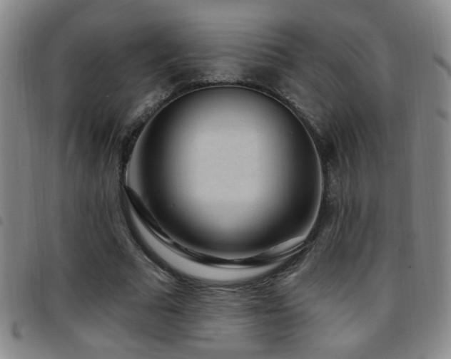X0000097890681200803141333