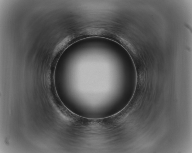 X0000097890682200803141333