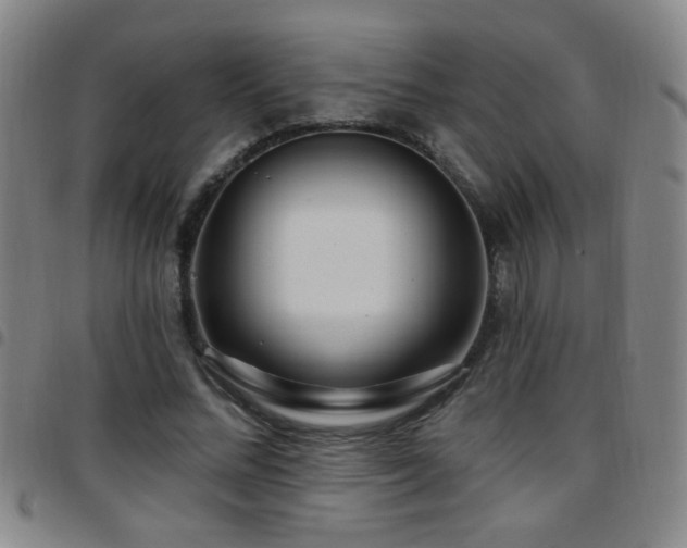 X0000097890684200803141333