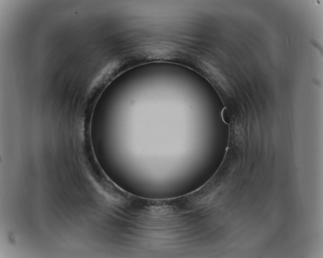 X0000097890686200803141333