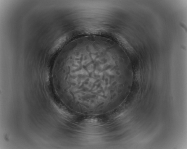X0000097890687200803141333