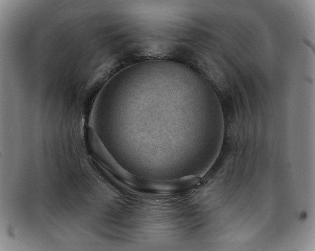 X0000097890689200803141333