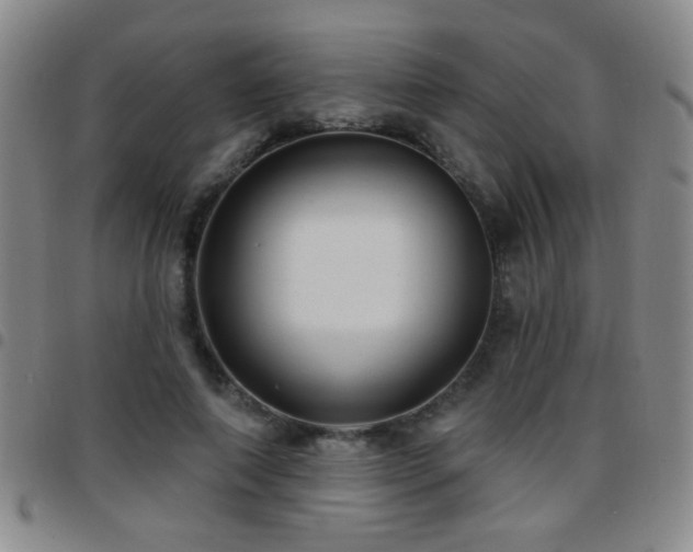 X0000097890690200803141333