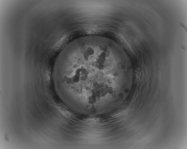 X0000097890691200803141333