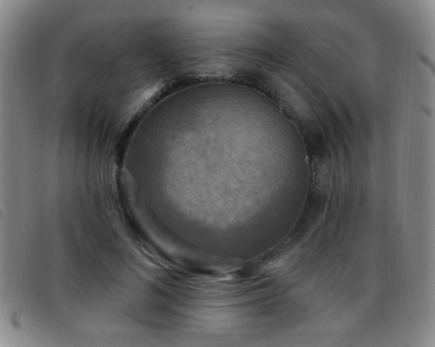 X0000097890692200803141333