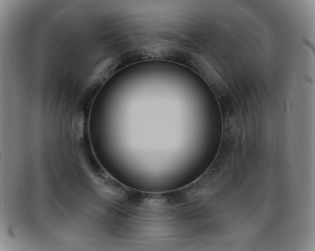 X0000097890694200803141333