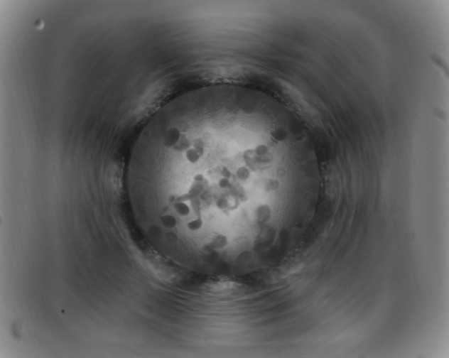 X0000097890695200803141333