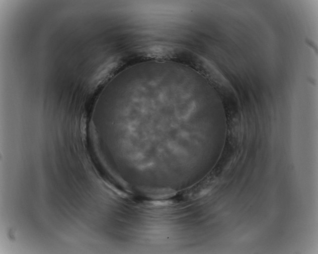 X0000097890696200803141333