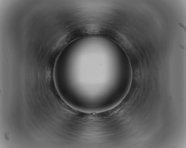 X0000097890697200803141333