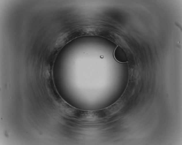 X0000097890702200803141333
