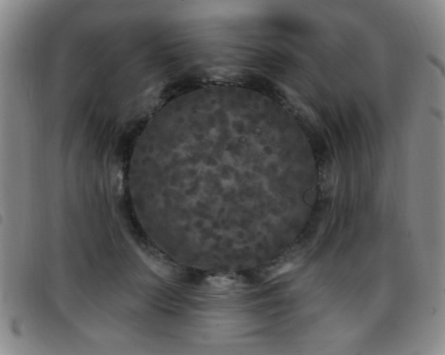 X0000097890703200803141333