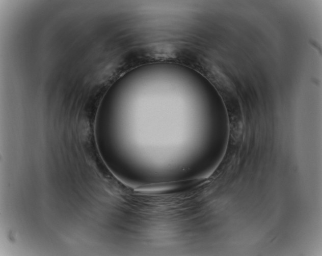 X0000097890704200803141333