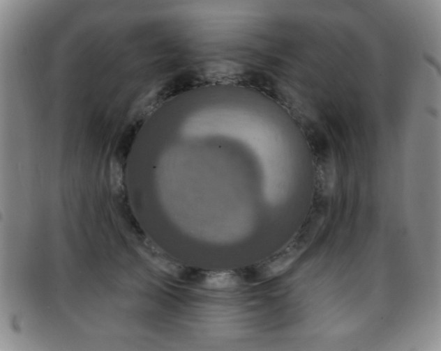X0000097890705200803141333