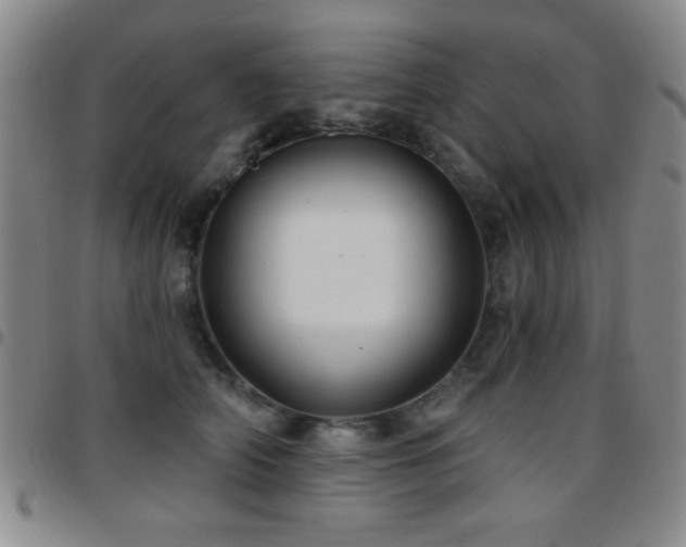 X0000097890706200803141333