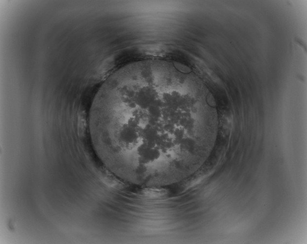 X0000097890707200803141333