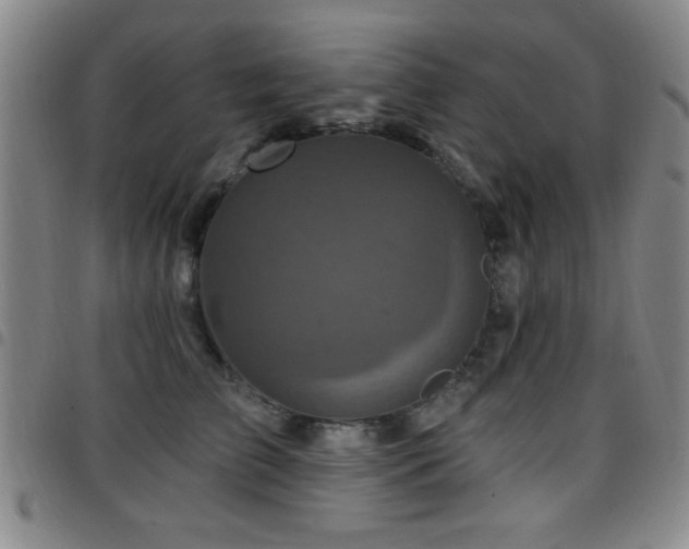 X0000097890709200803141333