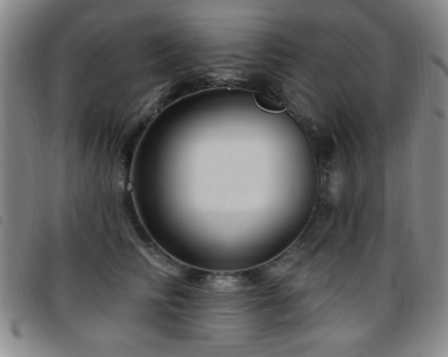 X0000097890710200803141333