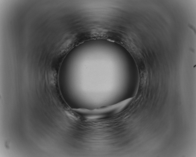 X0000097890712200803141333