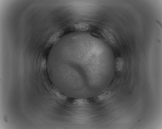 X0000097890713200803141333