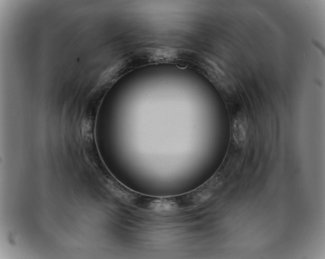 X0000097890714200803141333