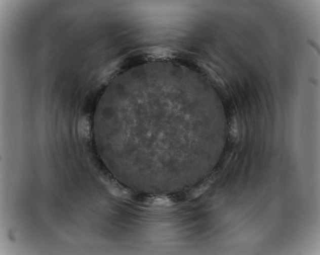 X0000097890715200803141333