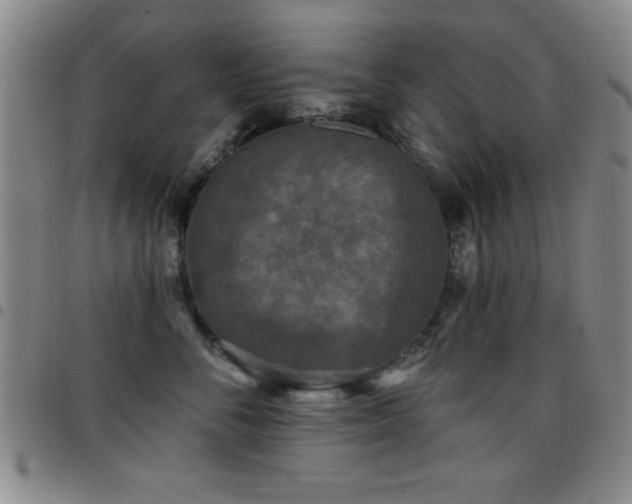 X0000097890716200803141333