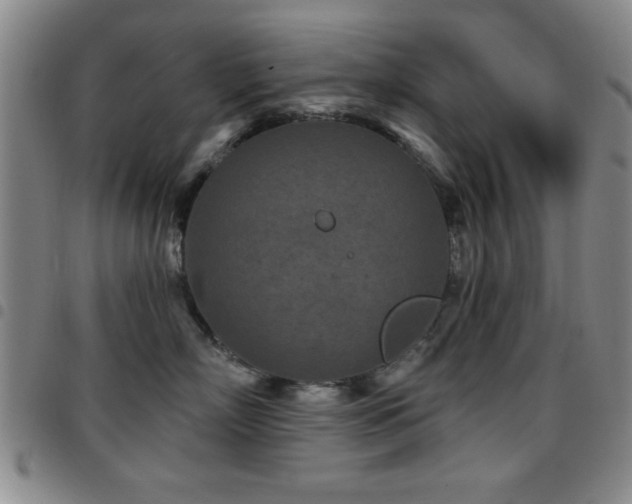 X0000097890718200803141333