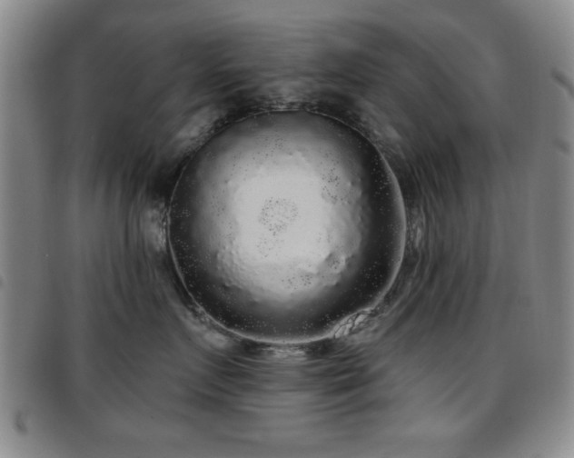 X0000097890719200803141333