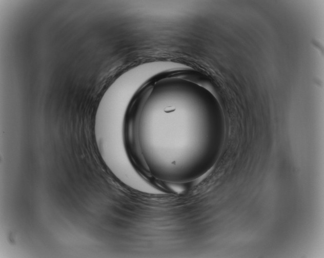 X0000097890720200803141333