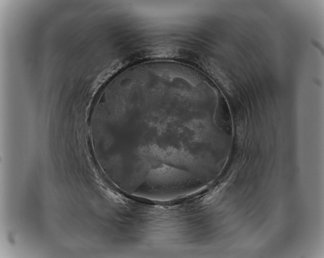 X0000097890721200803141332