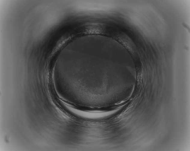 X0000097890722200803141332