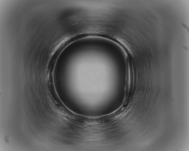 X0000097890723200803141332