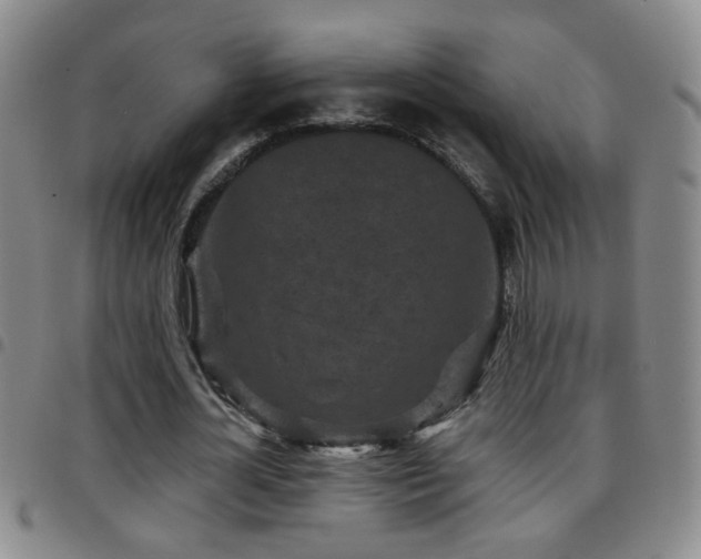 X0000097890724200803141332
