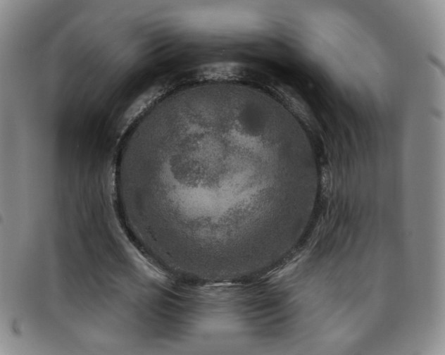 X0000097890725200803141332